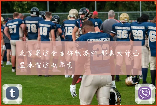 北京奥运会吉祥物亮相 形象设计凸显冰雪运动元素